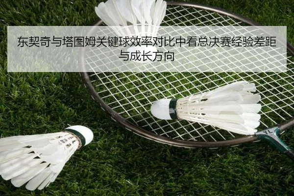 img_1783325703927_184_1_495.jpg